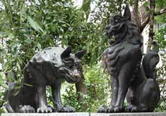 img_komainu.jpg